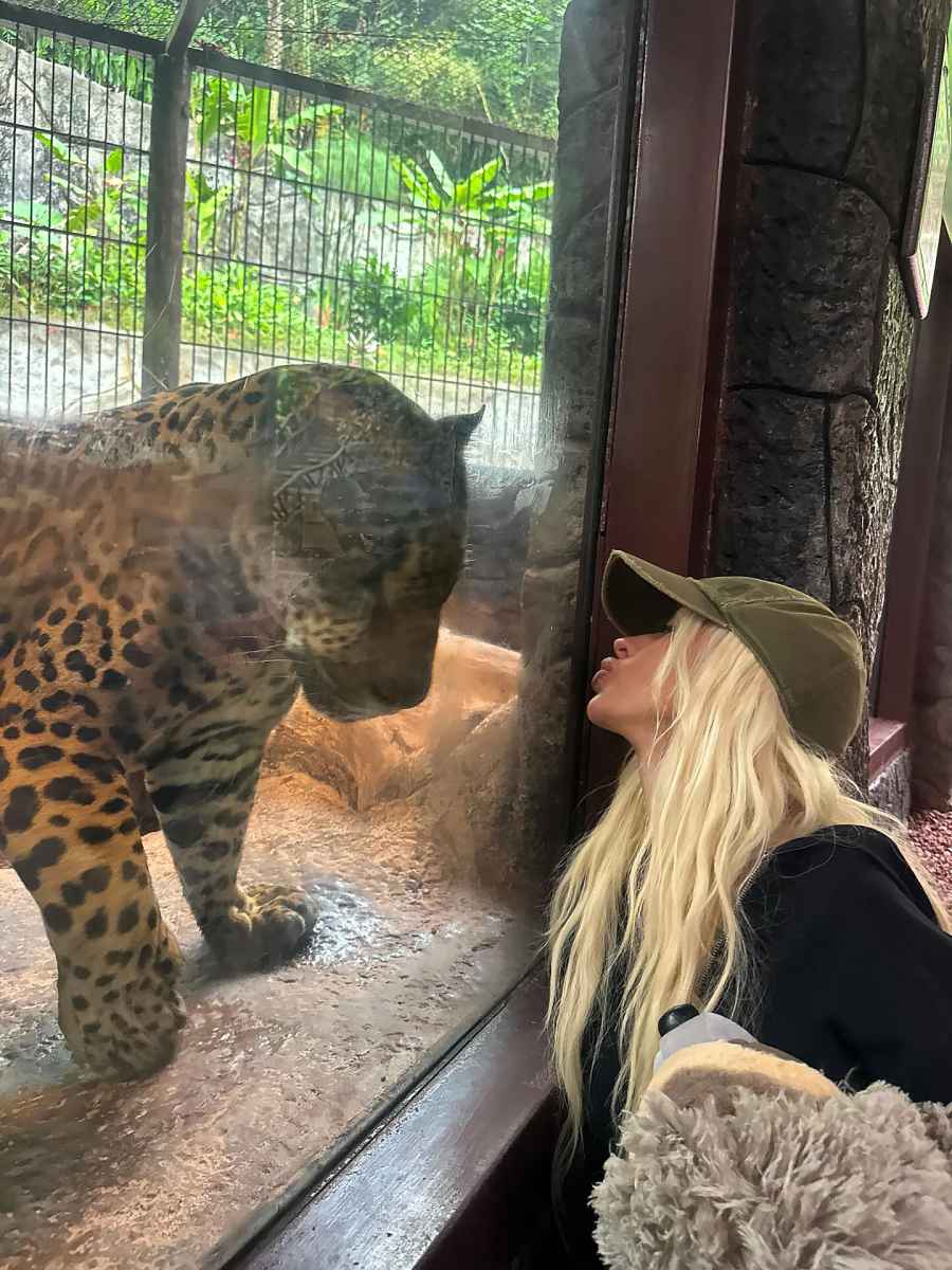 Christina Aguilera They Interact With Zoo Animals Just Like Us
