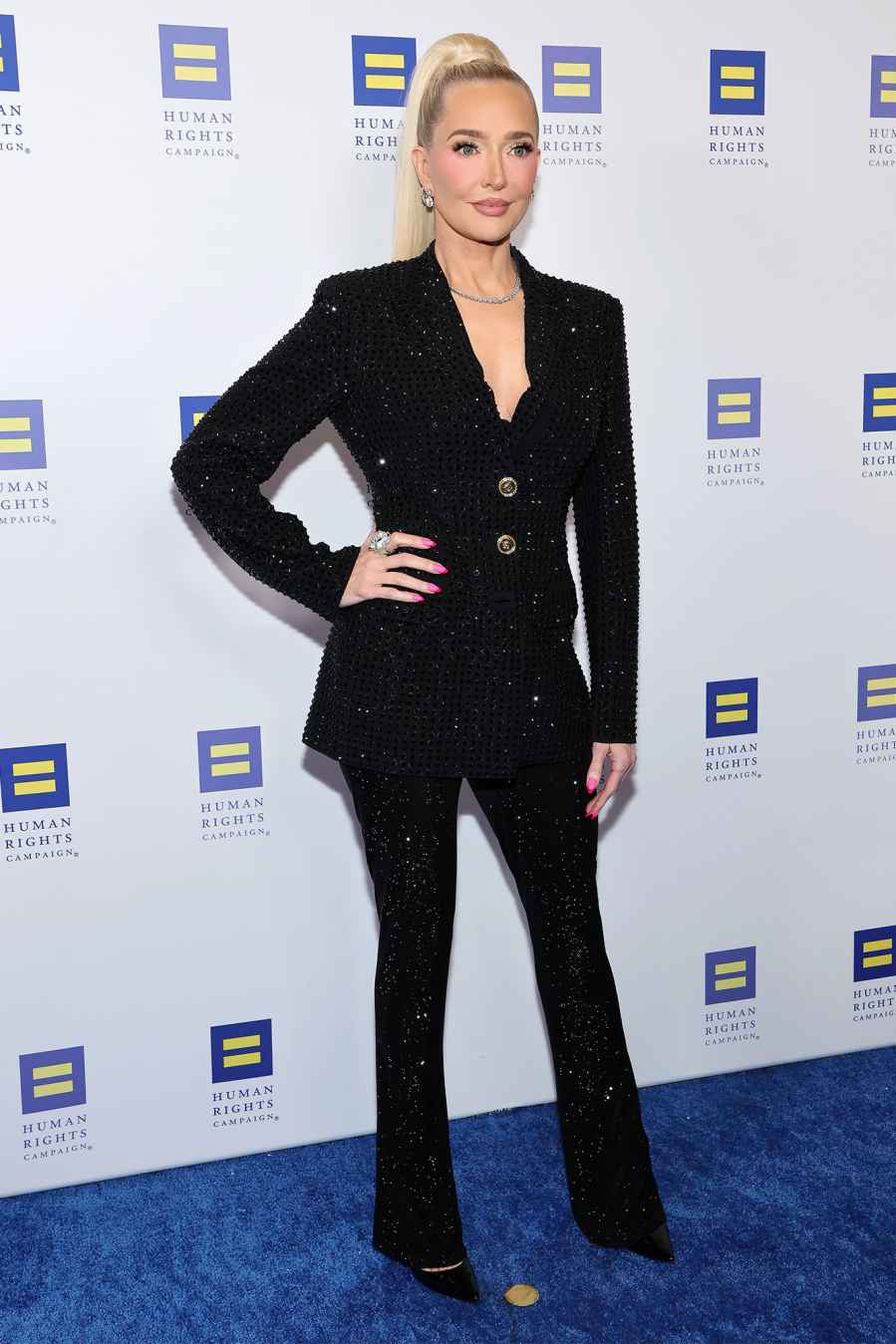 Erika Jayne Human Rights Campaign Los Angeles Dinner Hot Pics