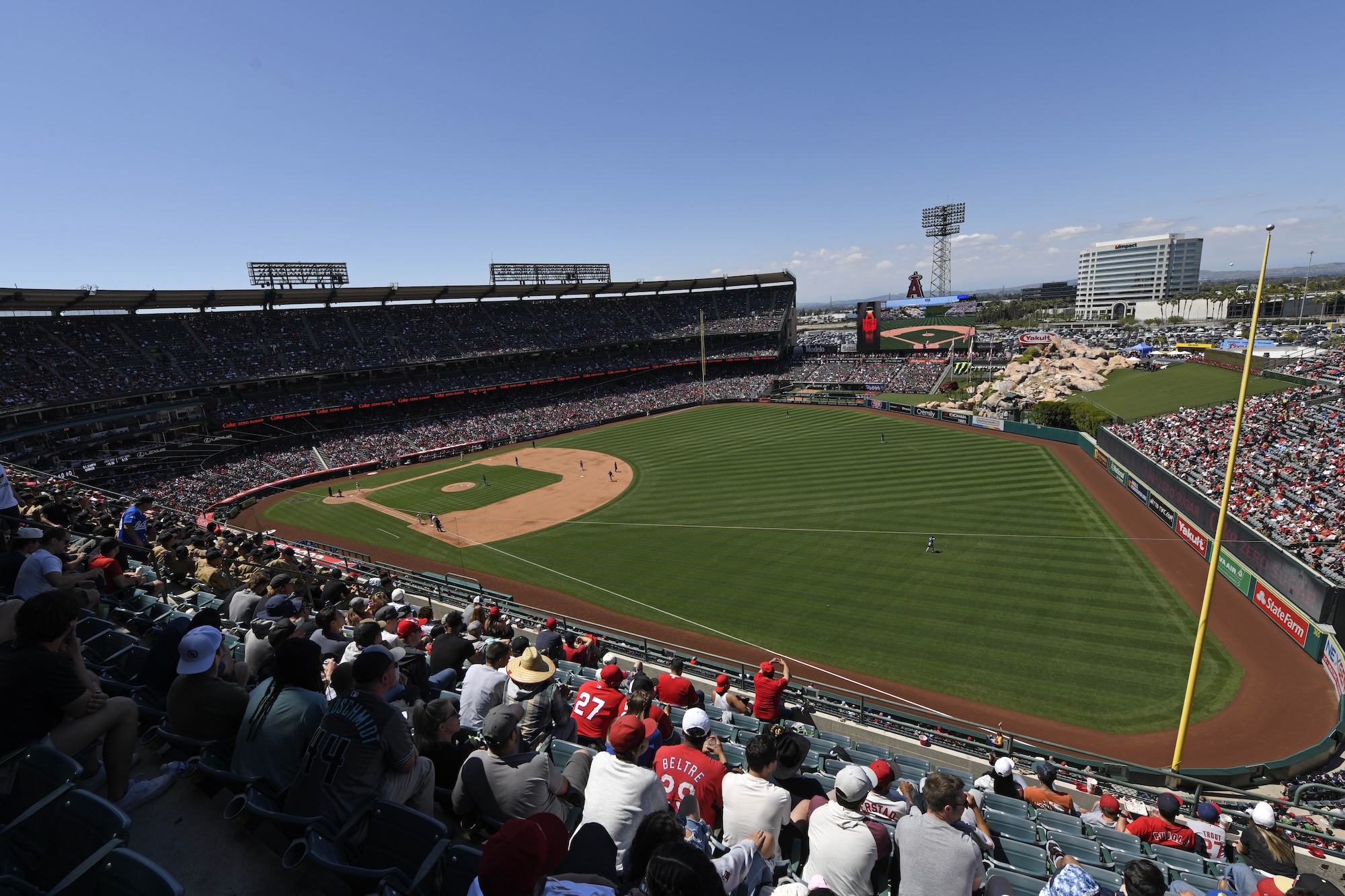 GettyImages-1252998386 Dog Taps Person's Shoulder at Baseball Game to Ask for Food