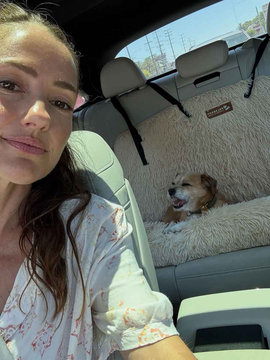 Minka Kelly They Take Their Dogs for a Ride Just Like Us